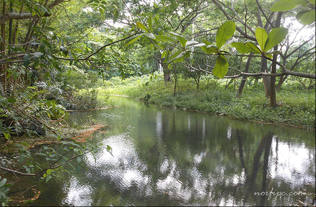 El Rio Mayabeque en la zona del Embarcadero