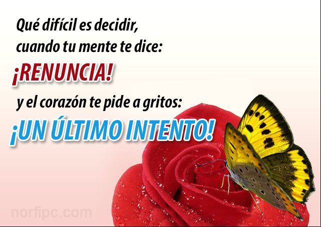 Qué difícil es decidir, cuando tu mente te dice: ¡RENUNCIA! y el corazón te pide a gritos: ¡UN ULTIMO INTENTO! Qué difícil es decidir en el amor cuando se ama