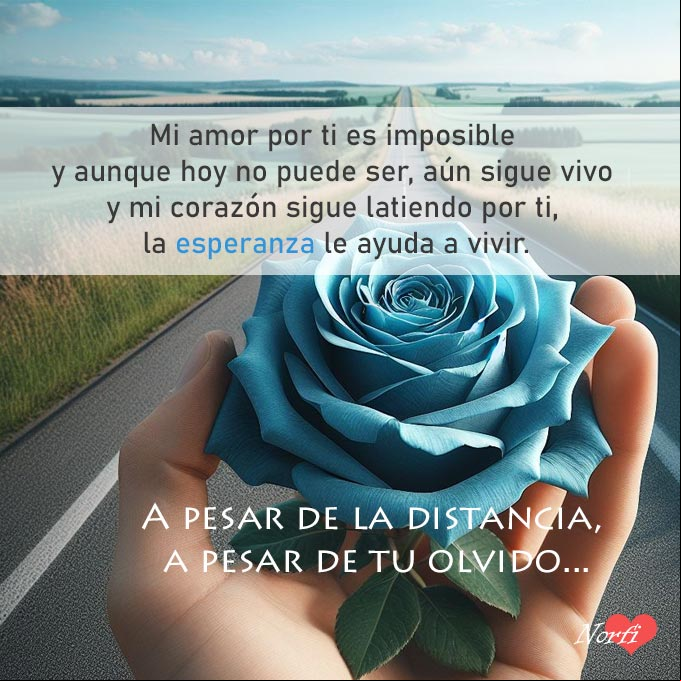 Mi amor por ti es imposible y aunque hoy no puede ser, aún sigue vivo y mi corazón sigue latiendo por ti, la esperanza le ayuda a vivir Mano sosteniendo una rosa azul, fondo carretera que se aleja