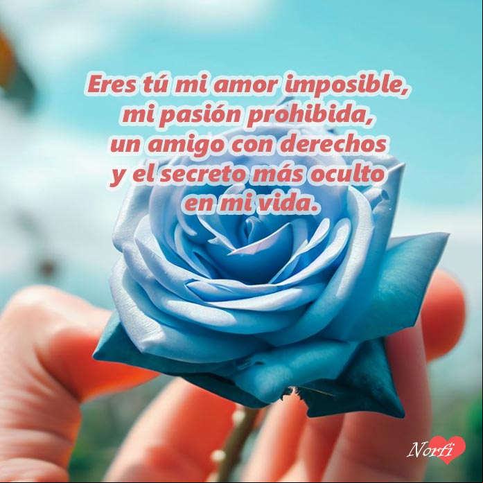 Mano sosteniendo una rosa de color azul