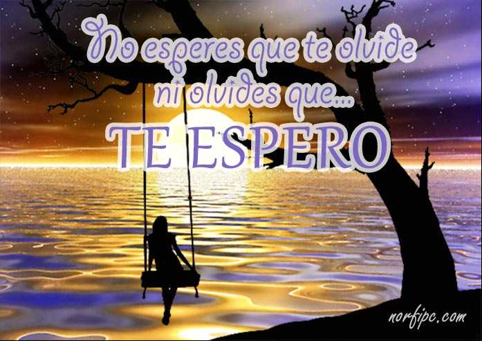 No esperes que te olvide, ni olvides que te espero... #FrasesAusencia Frases de ausencia, por la separación y alejamiento de un amor