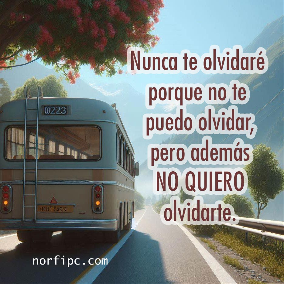 Siempre te recuerdo y nunca te olvidaré, porque no te puedo olvidar, porque no quiero olvidarte Autobus alejandose por una carretera