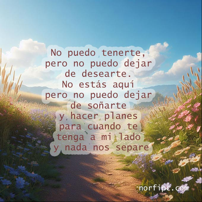 No puedo tenerte, pero no puedo dejar de desearte. No estás aquí, pero no puedo dejar de soñarte y hacer planes, para cuando te tenga a mi lado, y nada nos separe Camino solitario entre flores