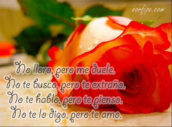 No lloro, pero me duele. No te busco, pero te extraño. No te hablo, pero te pienso. No te lo digo, pero te amo. #FrasesAusencia No te lo digo, pero te amo