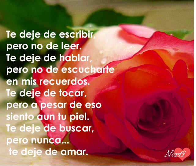 Te deje de buscar, pero nunca... te deje de amar Nunca te deje de amar
