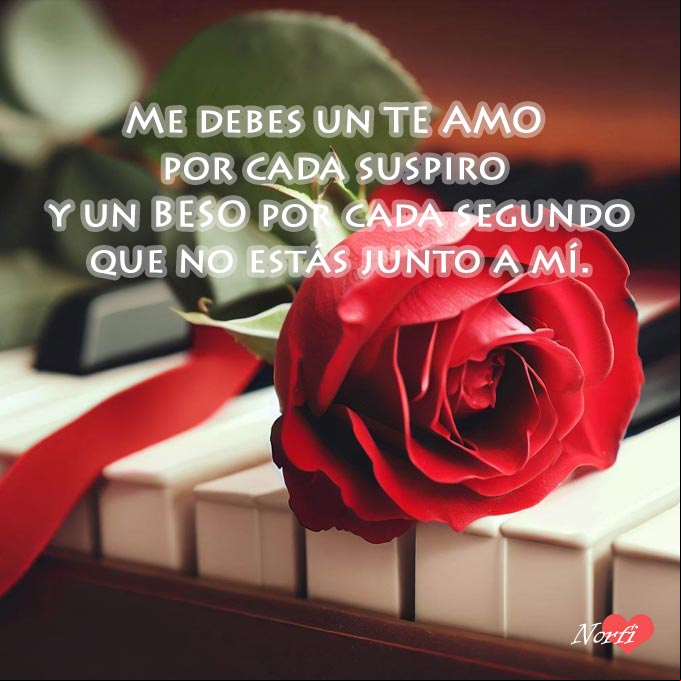 Me debes un TE AMO por cada suspiro y un BESO por cada segundo que no estás junto a mí. #Distancia Rosa roja sobre las teclas de un piano