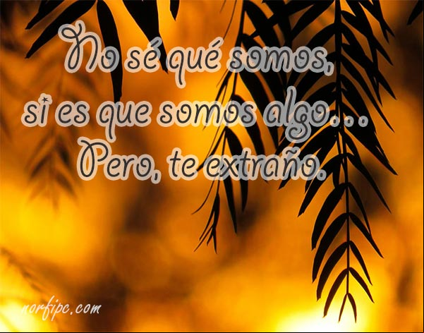 No sé qué somos, si es que somos algo... Pero, te extraño. #FrasesAusencia Si es que somos algo