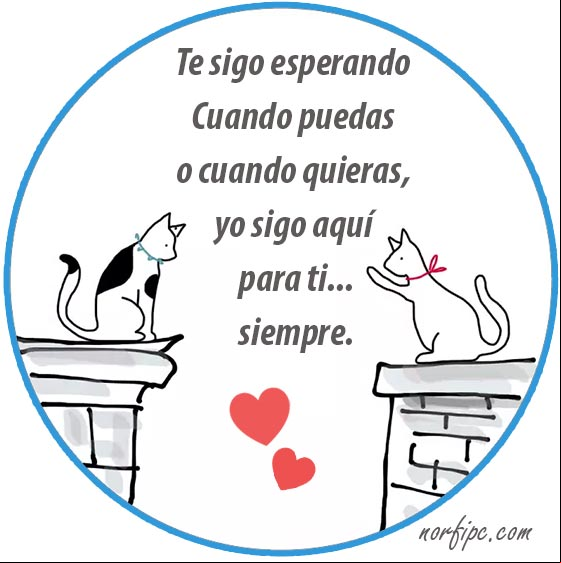 Te sigo esperando. Cuando puedas o cuando quieras, yo sigo aquí para ti... #Distancia Te sigo esperando