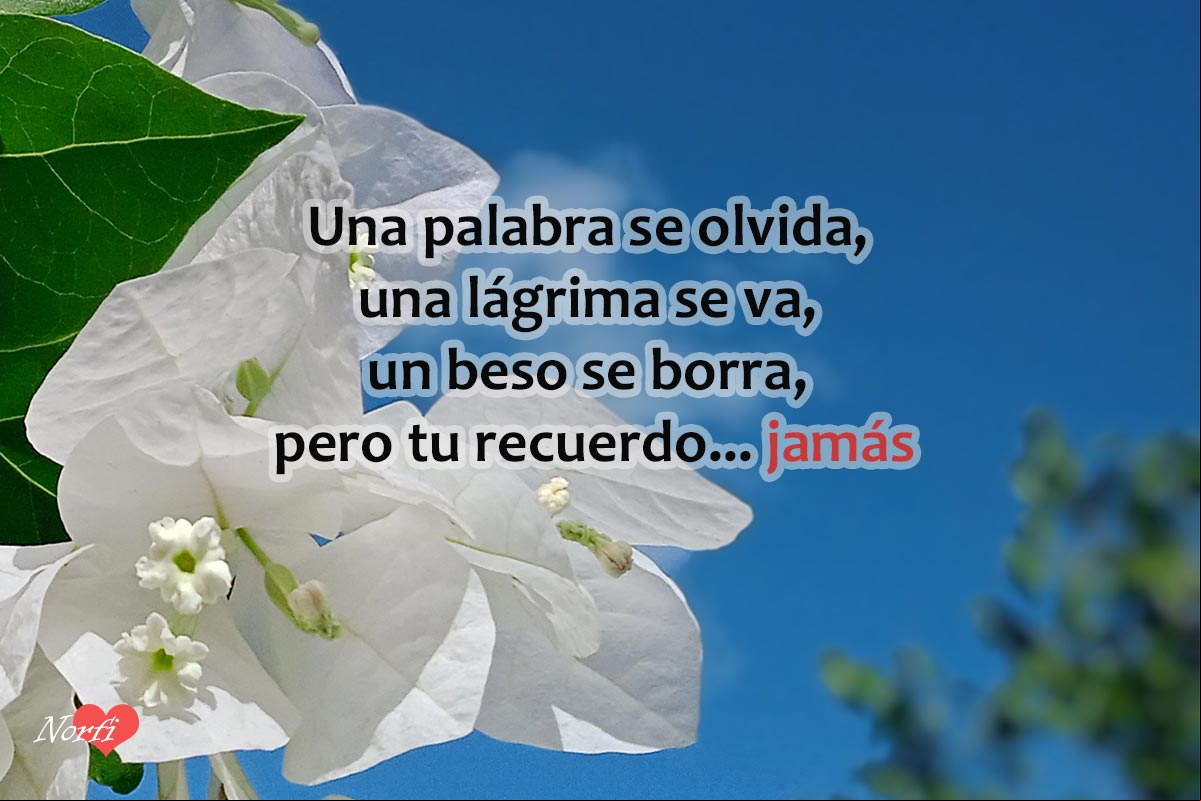 Mensajes de añoranza para ti que te recuerdo y no te olvido