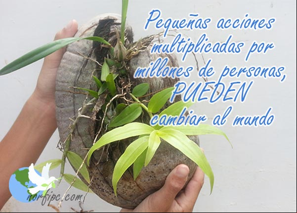 Pequeñas acciones multiplicadas por millones de personas, pueden cambiar al mundo Pequeñas acciones multiplicadas por millones de personas, pueden cambiar al mundo