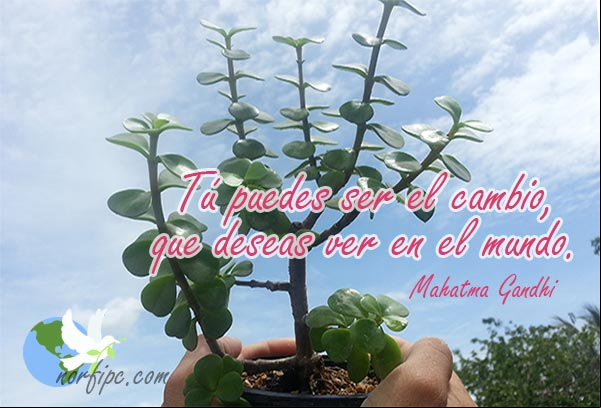 Tú puedes ser el cambio, que deseas ver en el mundo. Mahatma Gandhi Acciones para el cuidado y proteccion del medio ambiente