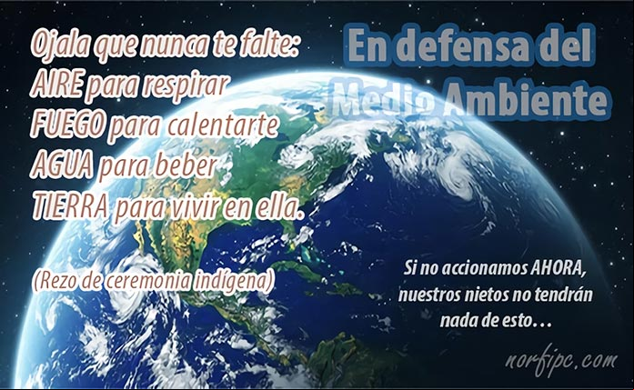 Frases en defensa del Medio Ambiente y la vida en la Tierra Frases en defensa del Medio Ambiente y la vida en la Tierra