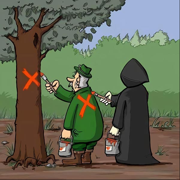 Algunos no comprende que al sentenciar a muerte una planta, también sentencian a sus hijos y nietos Sentencia de muerte