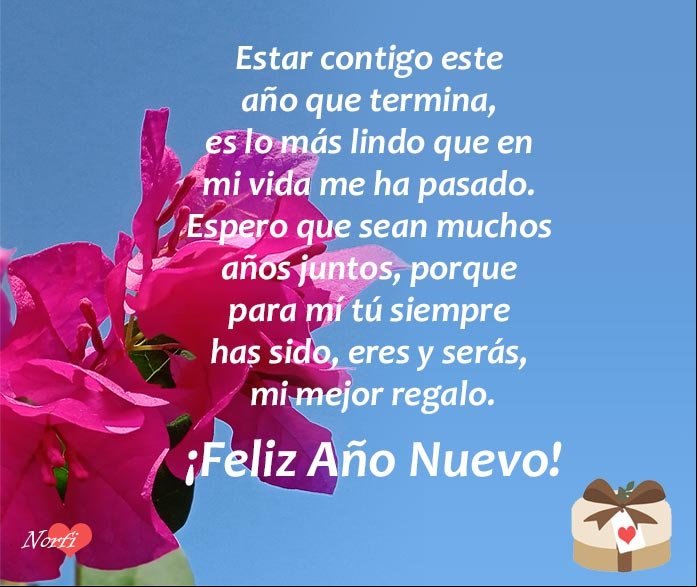 Para mí tú siempre has sido, eres y serás, mi mejor regalo
