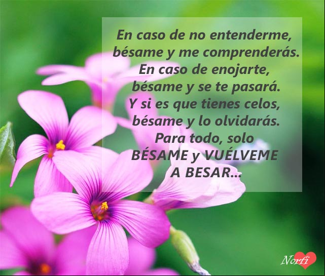 Para todo, solo bésame y vuélveme a besar Para todo, solo bésame y vuélveme a besar