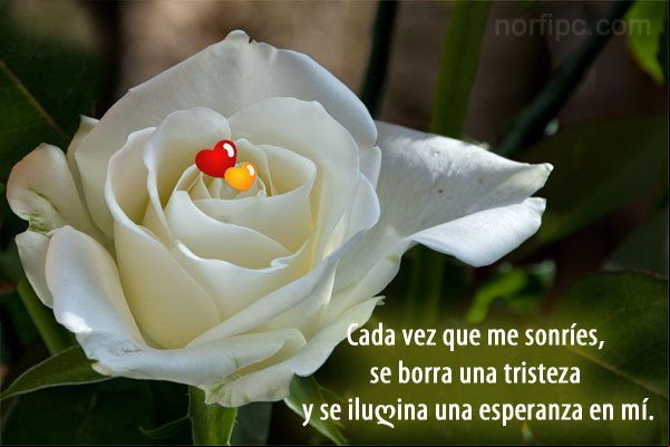 Cada vez que me sonríes, se borra una tristeza y se ilumina una esperanza en mí Imagen para enamorar: Cada vez que me sonríes