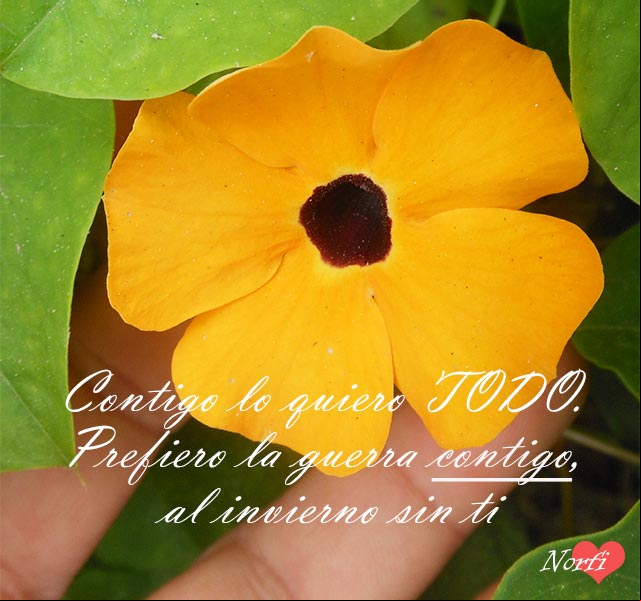 Contigo lo quiero TODO. Prefiero la guerra contigo, al invierno sin ti... #TeAmo Contigo lo quiero TODO