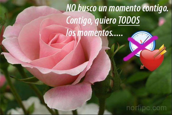 No busco un momento contigo. ¡Contigo quiero TODOS los momentos! No busco un momento contigo. ¡Contigo quiero TODOS los momentos!