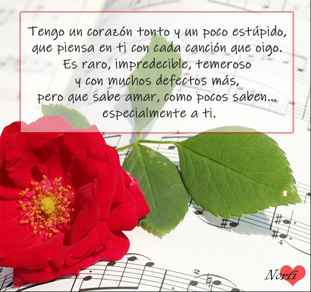 Tengo un corazón tonto y un poco estúpido que piensa en ti con cualquiera canción que oigo Frases de amor para confesarle que me gusta y le quiero