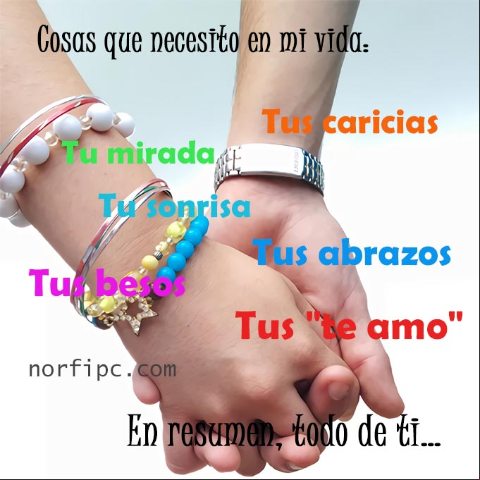 Las cosas que necesito para toda mi vida: Tu mirada, tu sonrisa, tus caricias, tus abrazos, tus besos, tus 'te amo', en resumen, solo a ti... Frases sobre el amor que quiero contigo