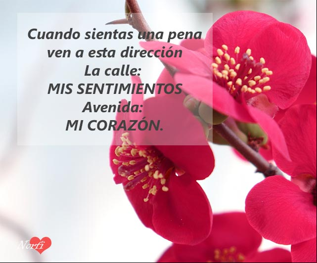 Cuando sientas una pena ven a esta dirección Cuando sientas una pena ven a esta dirección