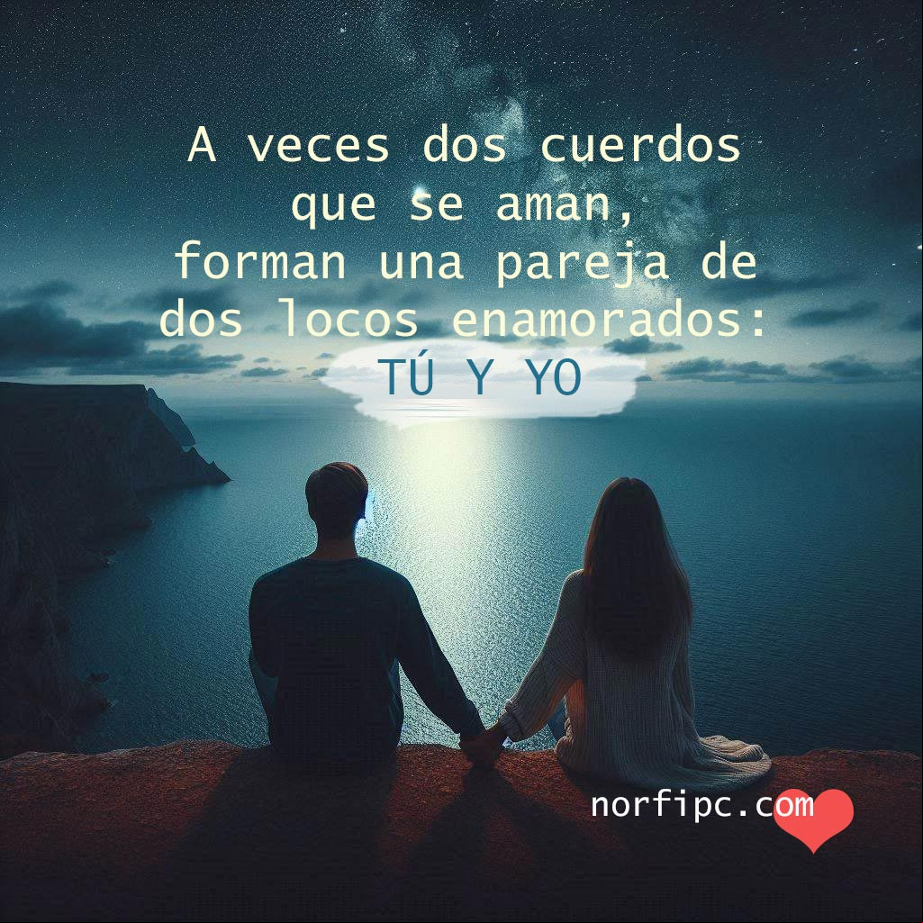 A veces dos cuerdos que se aman, forman una pareja de dos locos enamorados: tú y yo pareja de espaldas tomados de la mano sentados sobre un acantilado mirando el mar