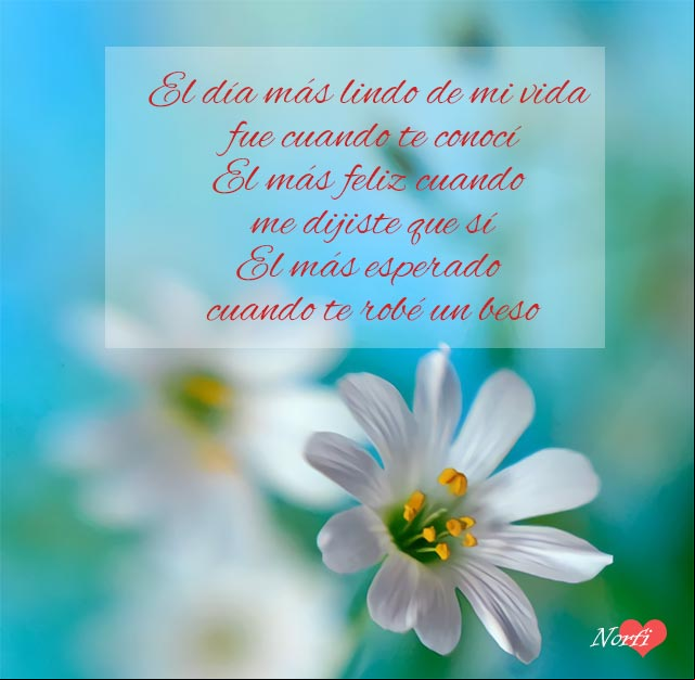 El día más lindo de mi vida fue cuando te conocí, el más feliz cuando me dijiste que sí, el más esperado cuando te robé un beso El día más lindo de mi vida fue cuando te conocí, el más feliz cuando me dijiste que sí, el más esperado cuando te robé un beso