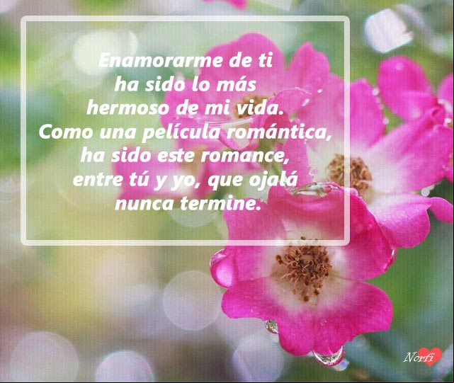 Enamorarme de ti ha sido lo más hermoso de mi vida. Como una película romántica, ha sido este romance, entre tú y yo, que ojalá nunca termine Enamorarme de ti lo más hermoso de mi vida
