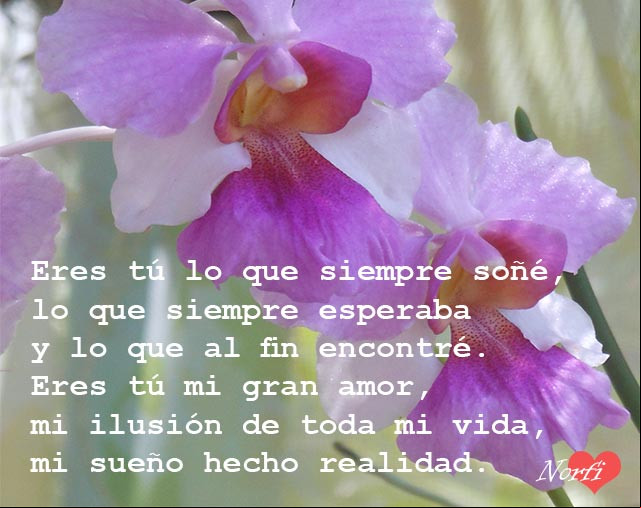 Eres tú lo que siempre soñé, lo que siempre esperaba y lo que al fin encontré. Eres tú mi gran amor, mi ilusión de toda mi vida, mi sueño hecho realidad Eres tú lo que siempre esperaba