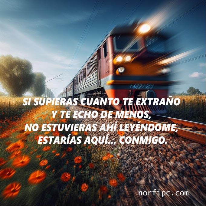 Si supieras cuanto te extraño y te echo de menos, no estuvieras ahí leyéndome, estarías aquí... conmigo. Tren a toda velocidad