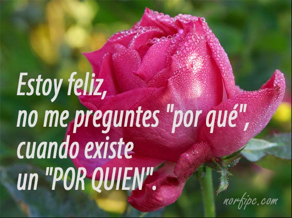 Estoy feliz, no me preguntes por qué, cuando existe un POR QUIEN Mensaje por estar feliz