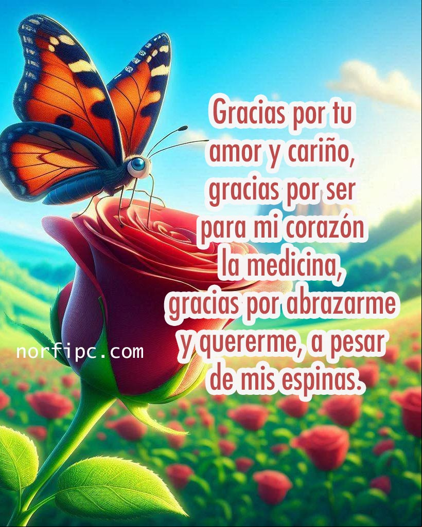 Gracias por tu amor y cariño, por ser de mi corazón la medicina. Gracias por abrazarme y quererme, a pesar de mis espinas Mariposa posada encima de una rosa roja