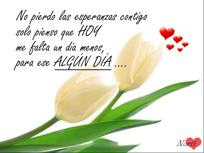 No pierdo las esperanzas contigo, solo pienso que HOY me falta un día menos, para ese ALGÚN DÍA... Hoy me falta un día menos