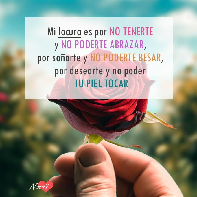 Mi locura es por no tenerte y no poderte abrazar, por soñarte y no poderte besar, por desearte y no poder tu piel tocar. Mano sosteniendo una flor