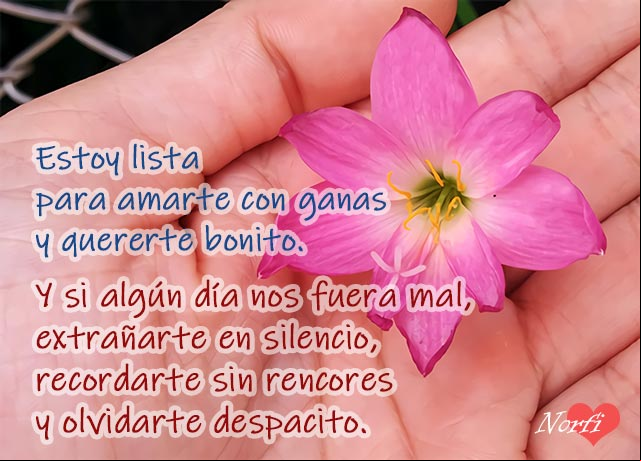 Estoy lista para amarte con ganas y quererte bonito Mensajes de amor para decirle que me interesa