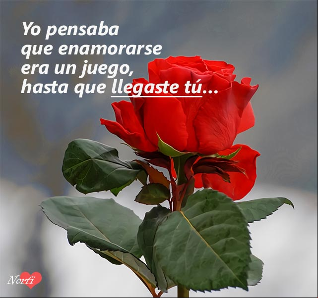 Yo pensaba que enamorarse era un juego, hasta que llegaste tú... Yo pensaba que enamorarse era un juego, hasta que llegaste tú...