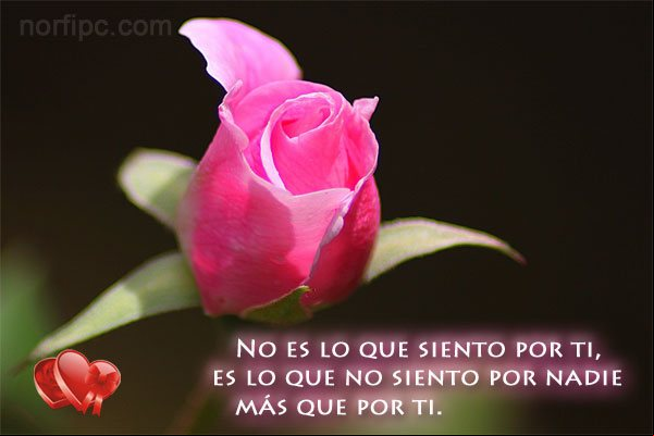 No es lo que siento por ti, es lo que no siento por nadie más que por ti Mensaje para quien me gusta y quiero mucho