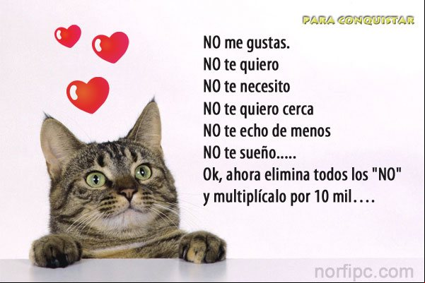 Me gustas tanto que debes multiplicar todo lo que te pueda decir por diez mil Me gustas tanto que debes multiplicar todo lo que te pueda decir por diez mil