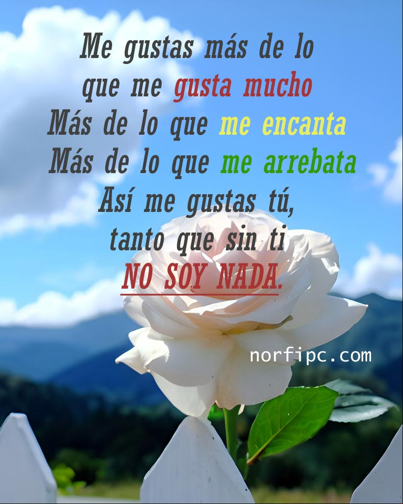 Me gustas más de lo que me gusta mucho, más de lo que me encanta, más de lo que me arrebata. Así me gustas tú, tanto que sin ti no soy nada Rosa en paisaje bonito