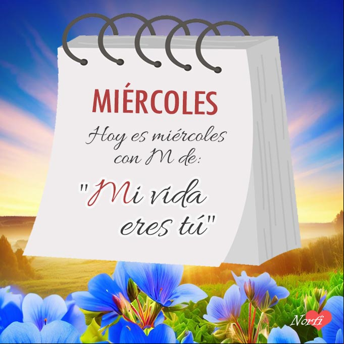 Hoy es miércoles con M de: 'Mi vida eres tú' Así transcurre mi semana sin ti