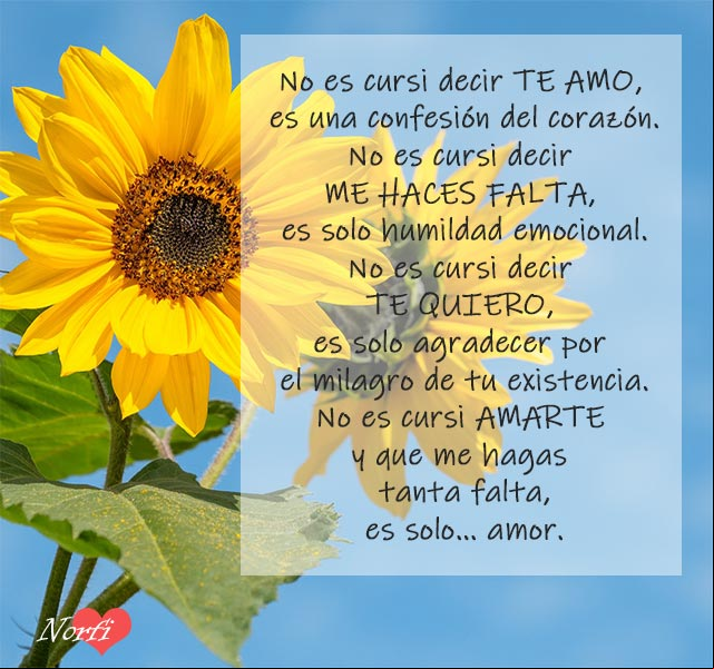 No es cursi decir te amo y que me hagas tanta falta, es solo amor No es cursi decir te amo