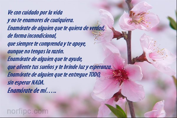 No te enamores de cualquiera, enamórate de mí No te enamores de cualquiera, enamórate de mí