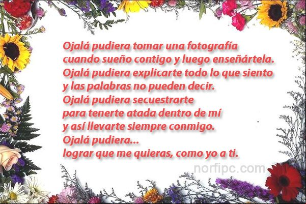 Ojalá pudiera lograr que me quieras, como yo a ti. Ojalá pudiera lograr que me quieras, como yo a ti.