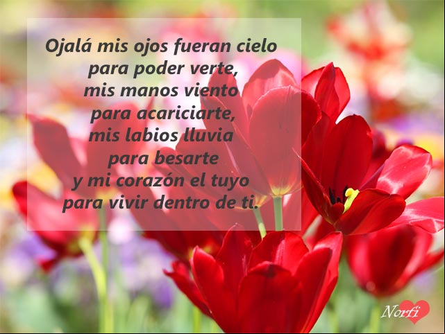 Ojalá vivir dentro de ti Ojalá vivir dentro de ti