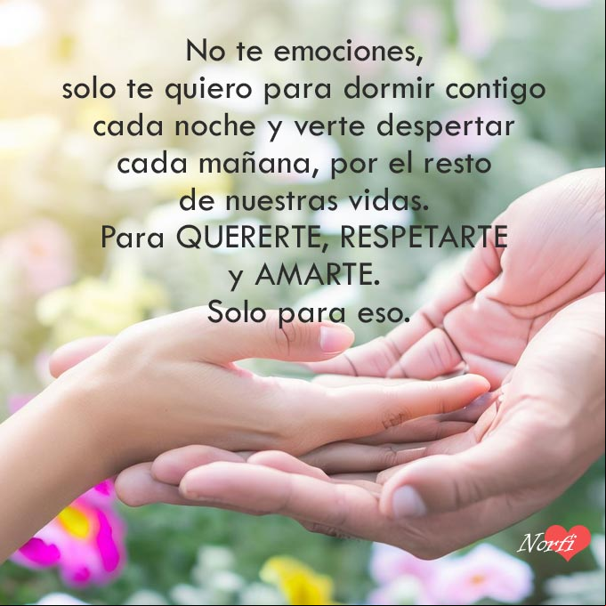 No te emociones, solo te quiero para dormir contigo cada noche y verte despertar cada mañana, por el resto de nuestras vidas. Para quererte, respetarte y amarte. Solo para eso para-el-resto-mi-vida