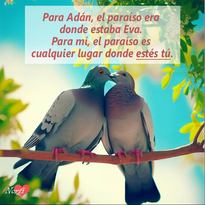 Para Adán, el paraíso era donde estaba Eva. Para mí, el paraíso es cualquier lugar donde estés tú Pareja de palomas en la rama de un arbol