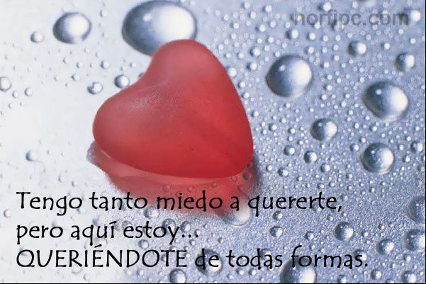 Tengo tanto miedo a quererte, pero aquí estoy queriéndote de todas formas Frases locas de amor. Queriéndote de todas formas