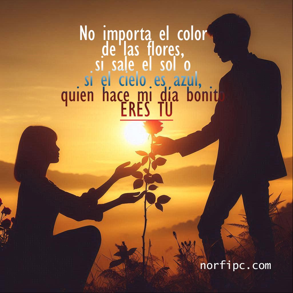 No importa el color de las flores, si sale el sol o si el cielo es azul, quien hace mi día bonito eres tú Silueta de una pareja con una rosa en la mano