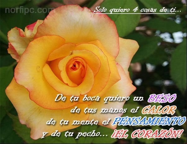 De tu boca quiero un beso, de tus manos el calor, de tu mente el pensamiento y de tu pecho... ¡EL CORAZÓN! Frases cursis para un amor profundo y sincero