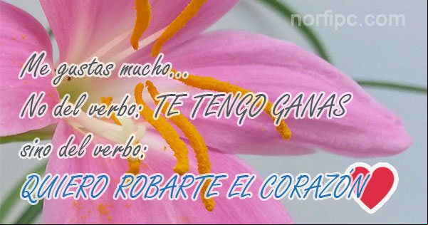 Me gustas mucho. No del verbo 'te tengo ganas', sino del verbo 'quiero robarte el corazón' Frase para declarar el amor que siento